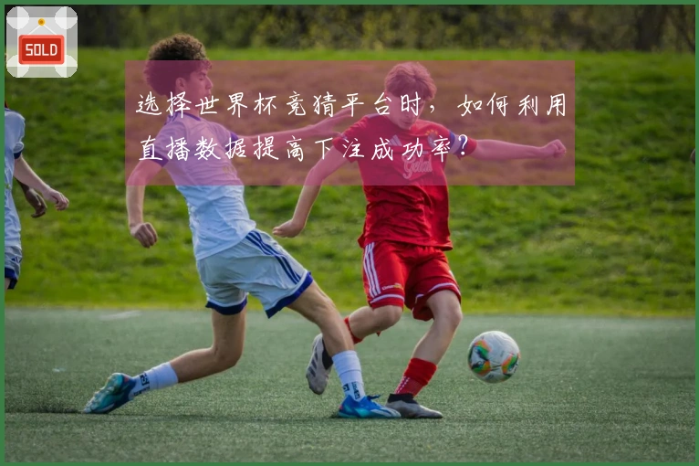 选择世界杯竞猜平台时，如何利用直播数据提高下注成功率？