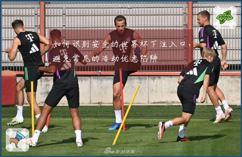 如何识别安全的世界杯下注入口，避免常见的活动优惠陷阱