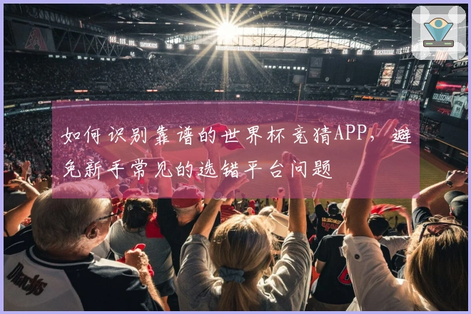 如何识别靠谱的世界杯竞猜APP，避免新手常见的选错平台问题