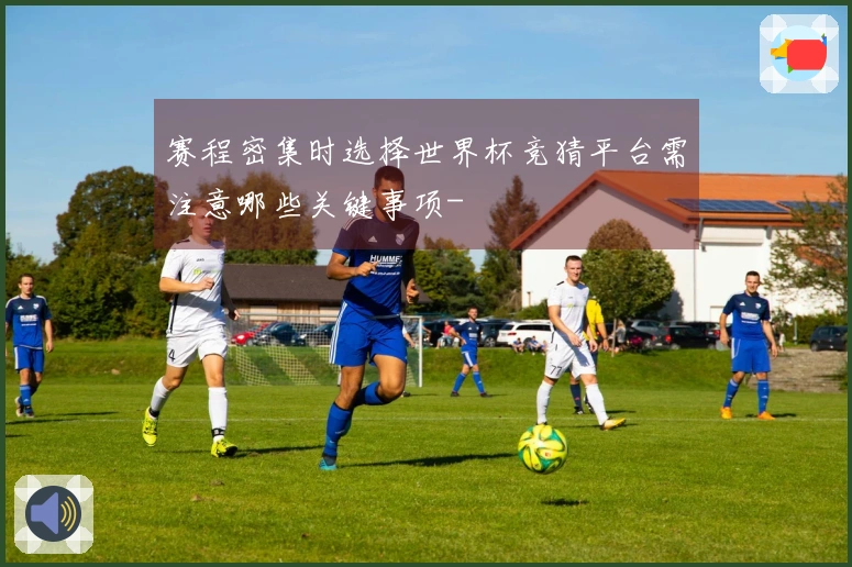 赛程密集时选择世界杯竞猜平台需注意哪些关键事项-