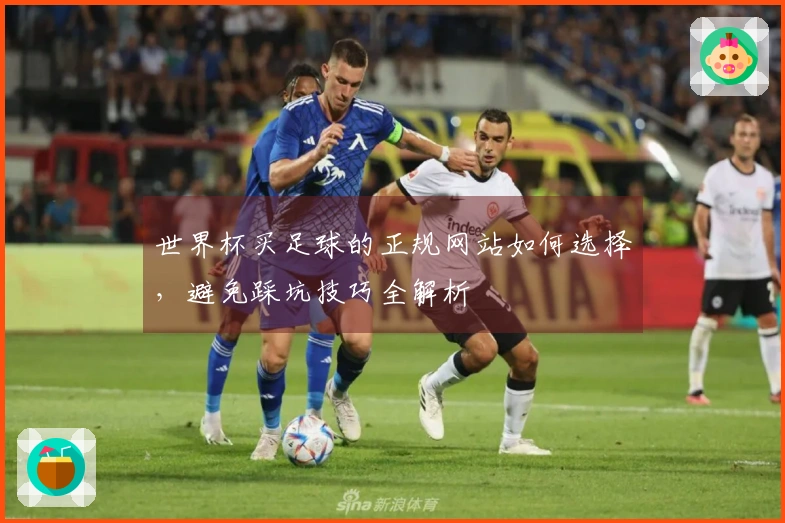 世界杯买足球的正规网站如何选择，避免踩坑技巧全解析