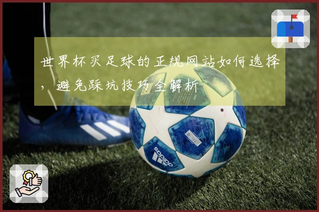 世界杯买足球的正规网站如何选择，避免踩坑技巧全解析