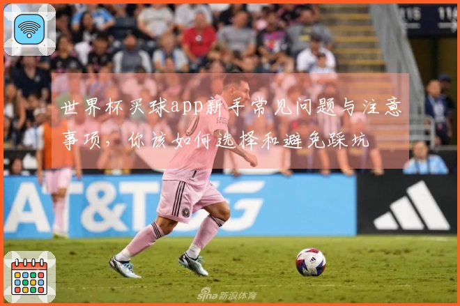 世界杯买球app新手常见问题与注意事项，你该如何选择和避免踩坑