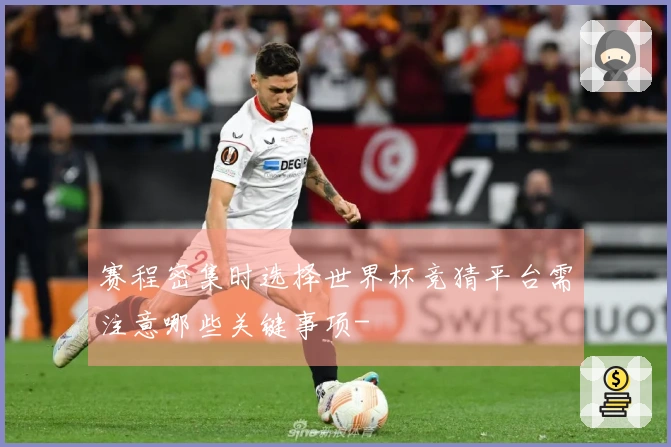 赛程密集时选择世界杯竞猜平台需注意哪些关键事项-