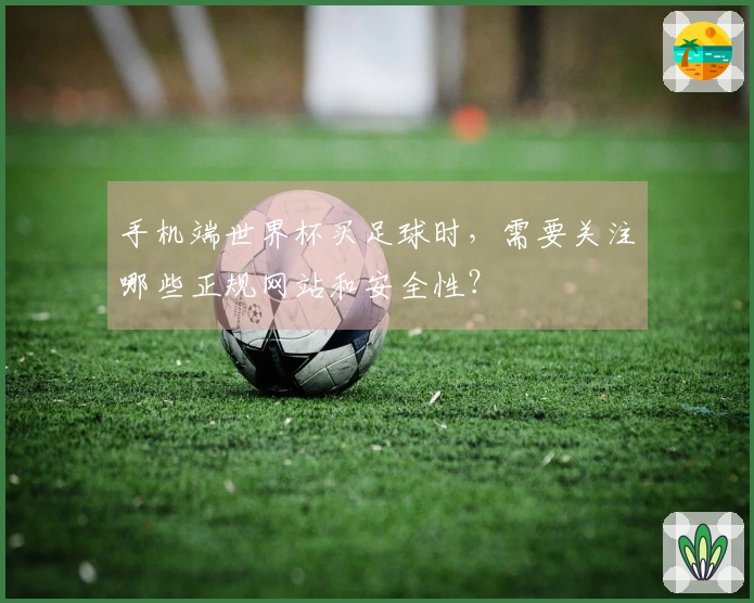 手机端世界杯买足球时，需要关注哪些正规网站和安全性？