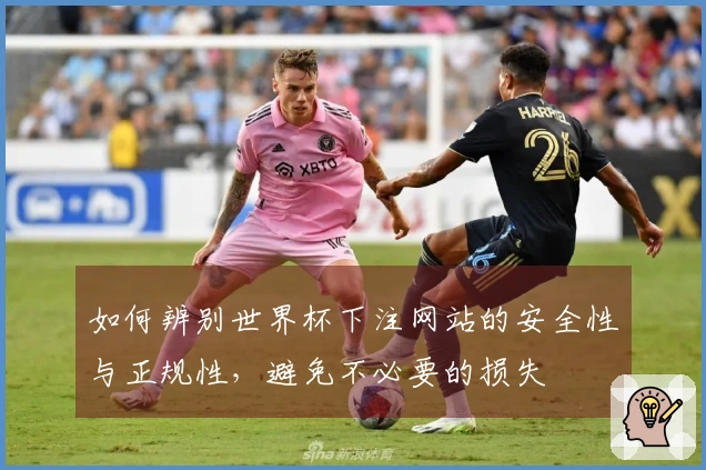 如何辨别世界杯下注网站的安全性与正规性，避免不必要的损失