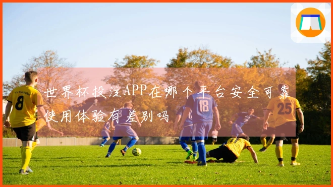 世界杯投注APP在哪个平台安全可靠使用体验有差别吗
