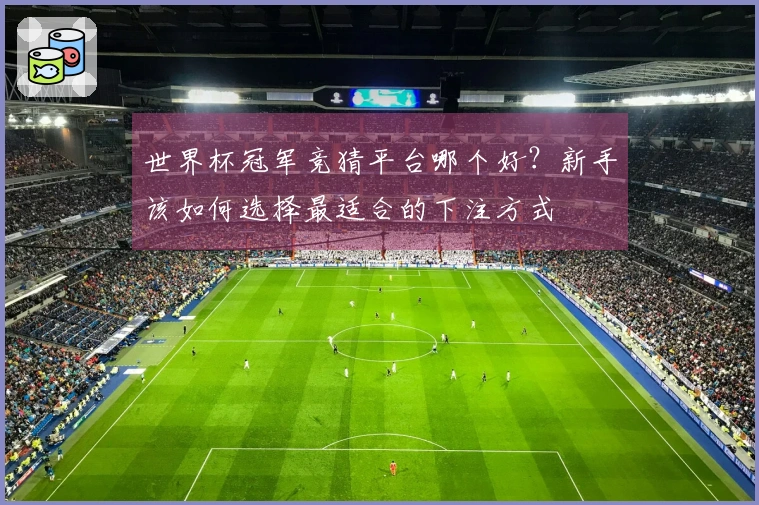 世界杯冠军竞猜平台哪个好？新手该如何选择最适合的下注方式