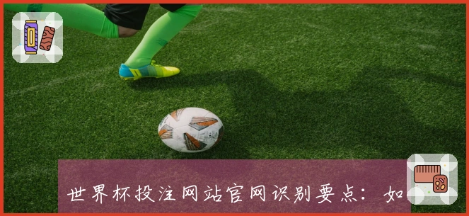 世界杯投注网站官网识别要点：如何判断平台的安全性与可靠性