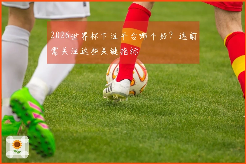 2026世界杯下注平台哪个好？选前需关注这些关键指标