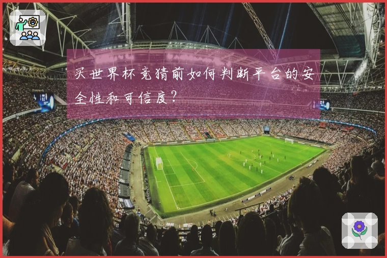 买世界杯竞猜前如何判断平台的安全性和可信度？