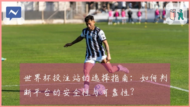 世界杯投注站的选择指南：如何判断平台的安全性与可靠性？