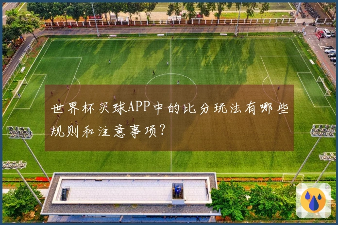 世界杯买球APP中的比分玩法有哪些规则和注意事项？