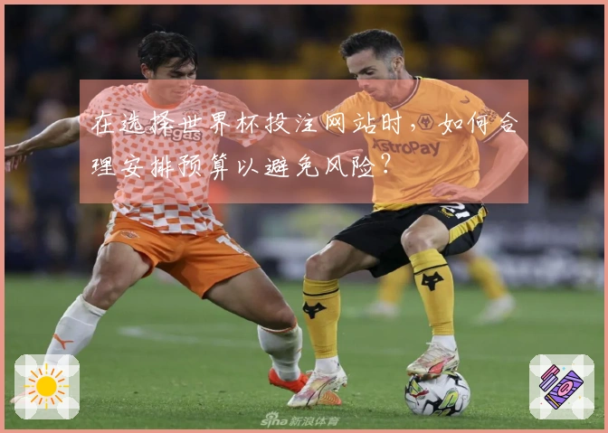 在选择世界杯投注网站时，如何合理安排预算以避免风险？