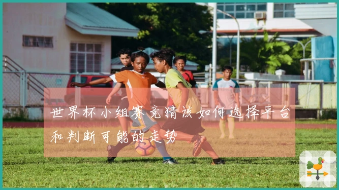 世界杯小组赛竞猜该如何选择平台和判断可能的走势