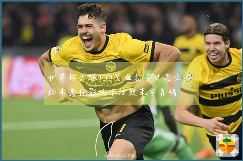 世界杯买球app页面打不开怎么办，赔率变化影响下注效果可靠吗