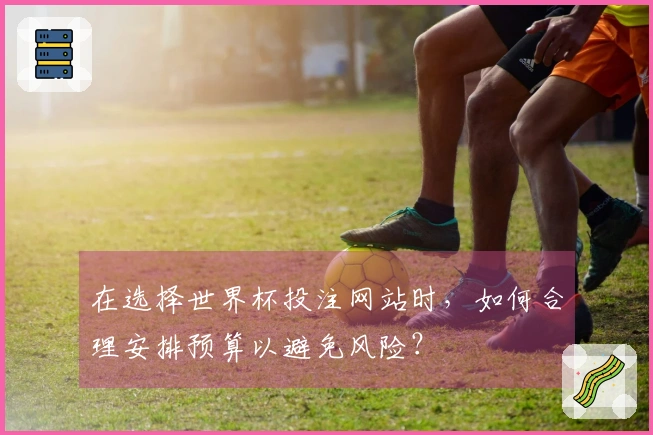 在选择世界杯投注网站时，如何合理安排预算以避免风险？