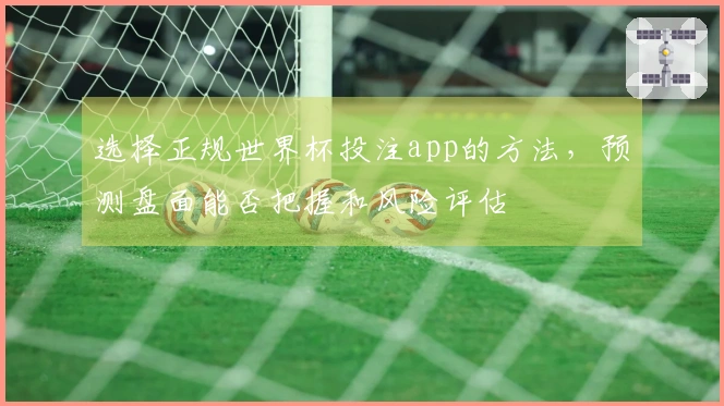 选择正规世界杯投注app的方法,预测盘面能否把握和风险评估