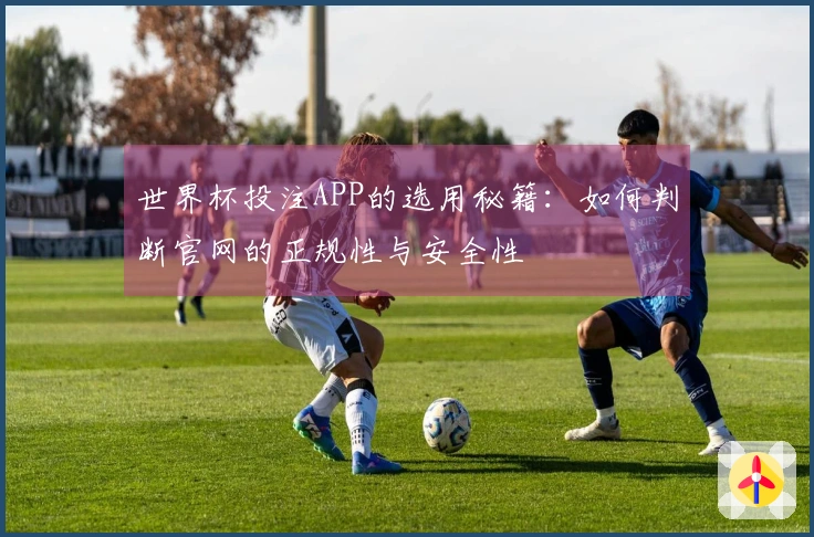 世界杯投注APP的选用秘籍：如何判断官网的正规性与安全性