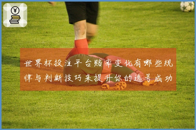世界杯投注平台赔率变化有哪些规律与判断技巧来提升你的选号成功率