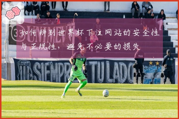 如何辨别世界杯下注网站的安全性与正规性，避免不必要的损失