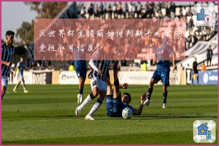 买世界杯竞猜前如何判断平台的安全性和可信度？